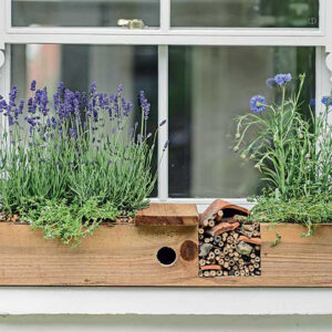 window with a wooden box on the sill outside with lavender and corn flowers planted&hellip;